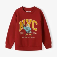 19FLEECE 51J: Printed Fleece Sweatshirt (2-8 Years)